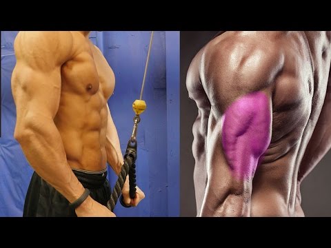 The Best Way To Do Tricep Extensions