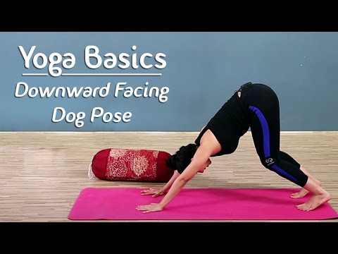 Downward Dog Pose - Step By Step | Adho Mukha Shvanasana | Yoga For Beginners - Yoga With AJ