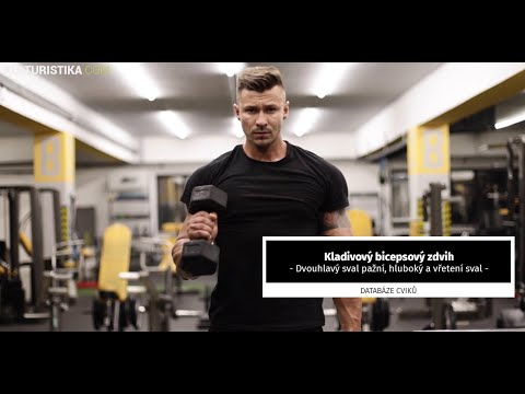 Kladivový bicepsový zdvih - technika provedení