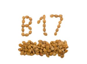 Vitamín B17