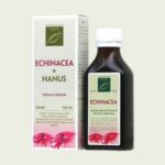 Echinacea extrakt tinktúra