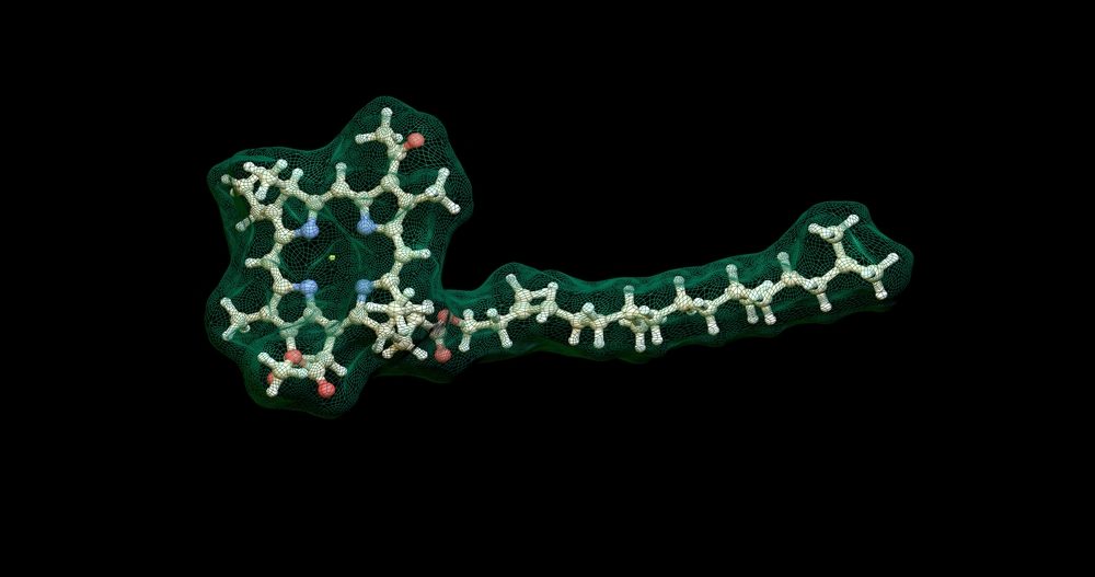 Molekula chlorofylu